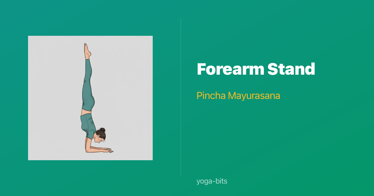 How to Do Forearm Stand (Pincha Mayurasana) — Yoga Pose Guide | yoga-bits